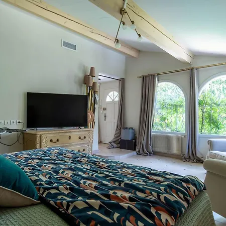 Large House With Garden Near The Sea Saint-Raphaël